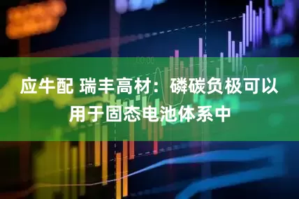 应牛配 瑞丰高材：磷碳负极可以用于固态电池体系中