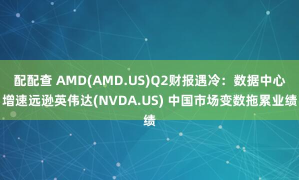 配配查 AMD(AMD.US)Q2财报遇冷：数据中心增速远逊英伟达(NVDA.US) 中国市场变数拖累业绩