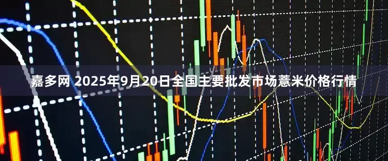 嘉多网 2025年9月20日全国主要批发市场薏米价格行情